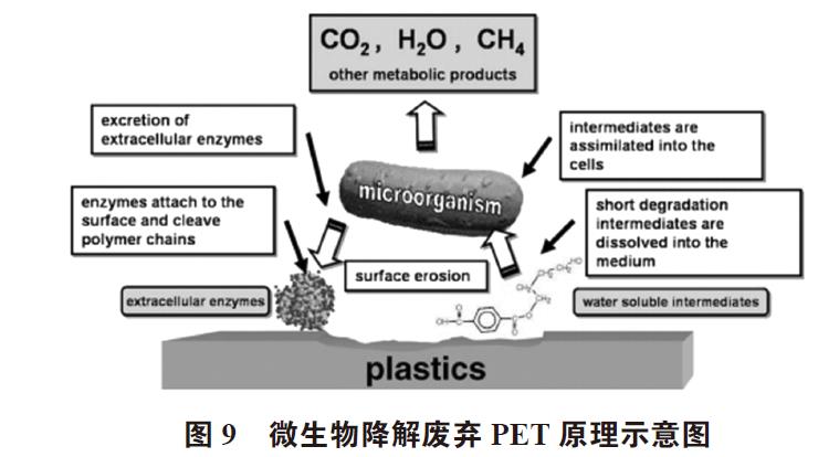 廢棄PET塑料包裝瓶的處理及再生資源化技術(shù)研究進(jìn)展 廢棄PET塑料包裝瓶的處理及再生資源化技術(shù)研究進(jìn)展