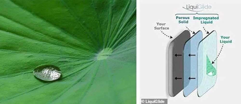 再也不用「擠牙膏」,高露潔換上的「潤滑劑」包裝,讓牙膏從此一滴不剩 再也不用「擠牙膏」,高露潔換上的「潤滑劑」包裝,讓牙膏從此一滴不剩